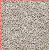 nylon texured carpet sample