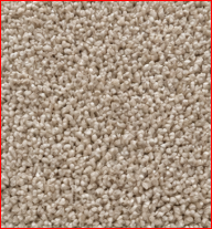 nylon cut pile carpet sample