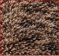 silk plush carpet sample